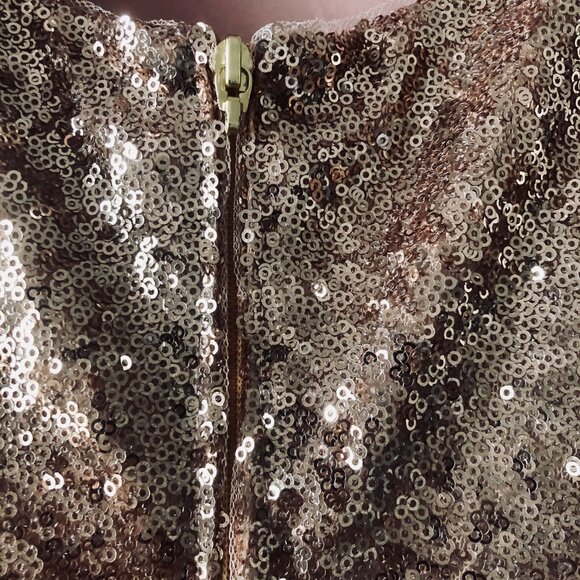 Christina Wu Celebration Formal Dress Size 10 | Sequin Top Satin Skirt Blush Gow - Picture 7 of 9